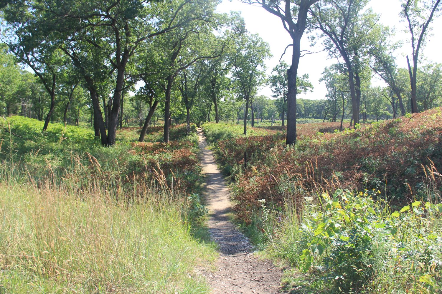 Ranger Led Miller Woods Hike 